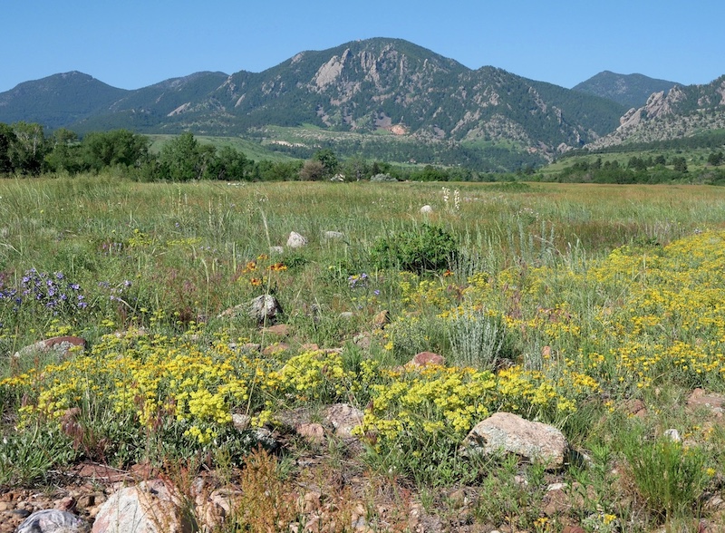 South Boulder Creek West Trailhead  花畑